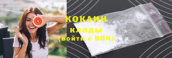 прущие крисы Вязьма