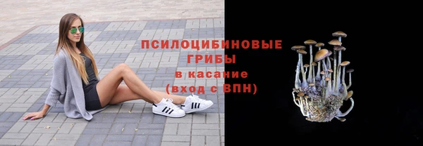 прущие крисы Вязьма