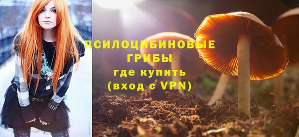 прущие крисы Вязьма