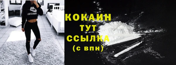прущие крисы Вязьма